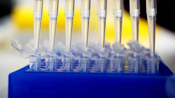 实验室测试板研究人员在孔板中移液管取样血液或dna的医学测试癌症或病毒检测在实验室从事研究工作的科学家个性化的医学和诊断