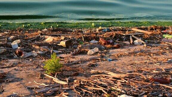 海岸边的垃圾象征着环境污染