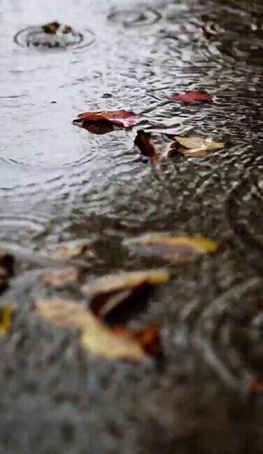 雨中的水坑