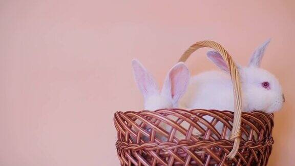 装着复活节彩蛋和兔子的柳条篮子