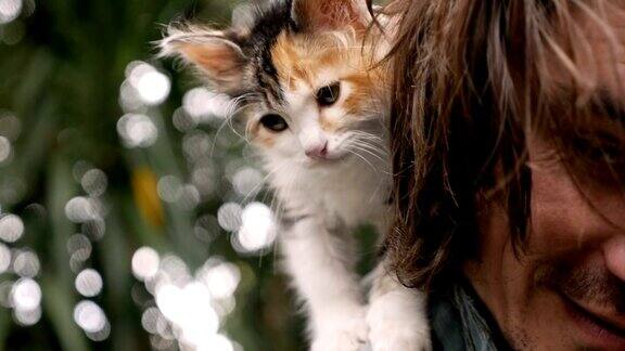 可爱的小花猫站在一个年轻人的肩膀上