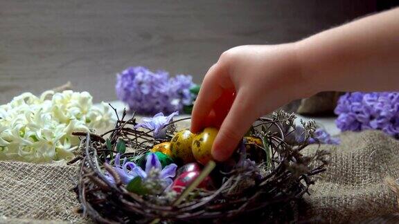 查尔兹的手把一个彩色的复活节小蛋放进巢里