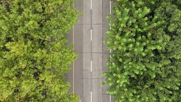 无人机鸟瞰图的道路与森林和树木沿着道路与很少的汽车