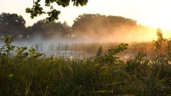 晨雾笼罩在冉冉升起的阳光下宁静的湖面上