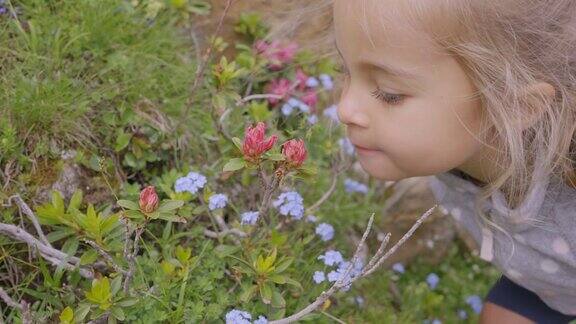 3岁的小女孩闻着山上的花