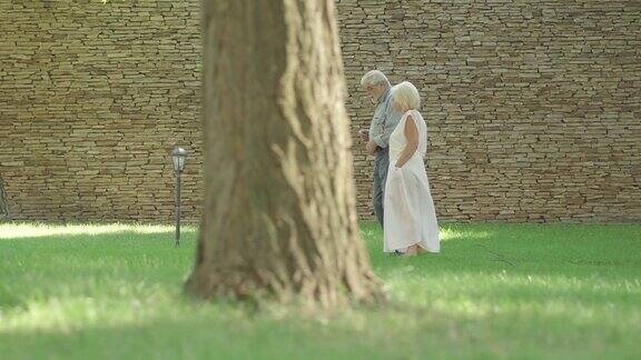 侧视图宽镜头相爱的老夫妇散步户外和交谈树木在前面经过快乐轻松的白人男女漫步在阳光明媚的夏日公园结合和永恒的爱