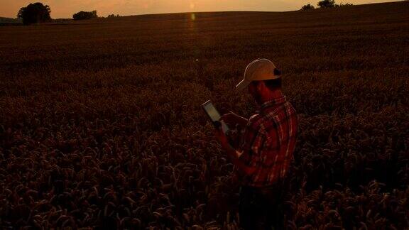 WSDS农民在田间使用数字平板电脑