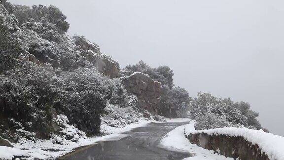 冬天和雪