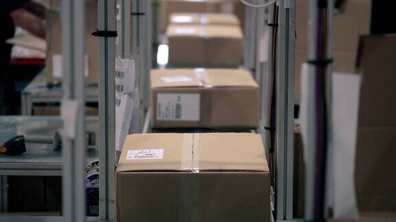 包裹在纸箱中沿着仓库的包装线移动包裹单独在传送带上移动自动化的在线航运物流