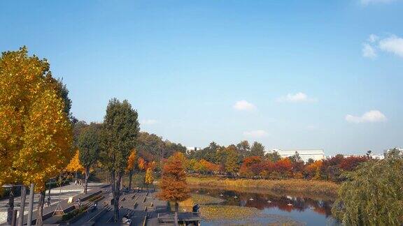 韩国首尔西首尔湖公园的秋天