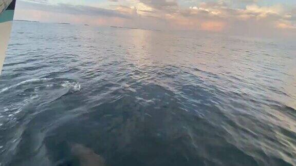 一只海豚在黄昏时跳在一艘船的前面