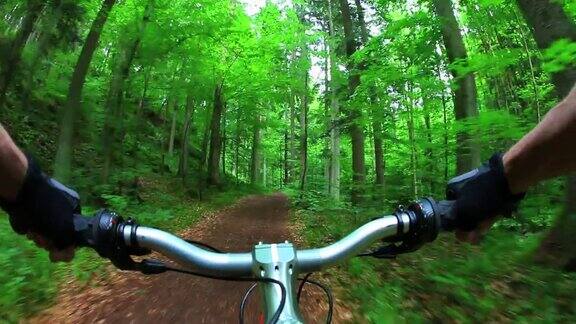 POV山地自行车穿过绿色森林