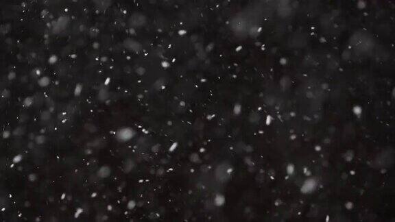 美丽真实的雪花孤立在黑色背景4K用长焦镜头拍摄完美的散景无分级的镜头合成运动图形大的和小的雪雪花孤立的雪花