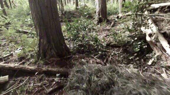 吉利西装狙击手躺在森林里瞄准摄像机在头顶移动