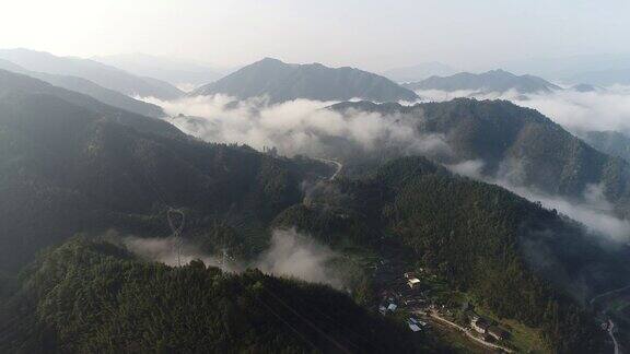 中国桂林早晨的森林有雾