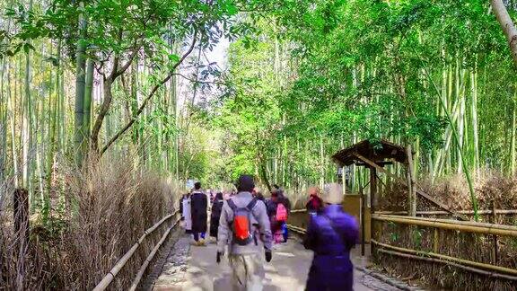 在日本京都的岚山竹林里一群游客在散步