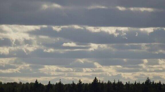 森林地平线上快速移动的云朵是时间流逝的剪影