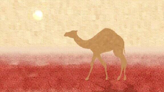 骆驼行走在沙漠动画