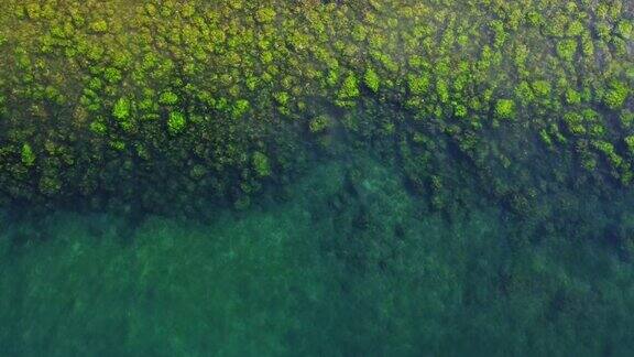 海中的岩石和海藻
