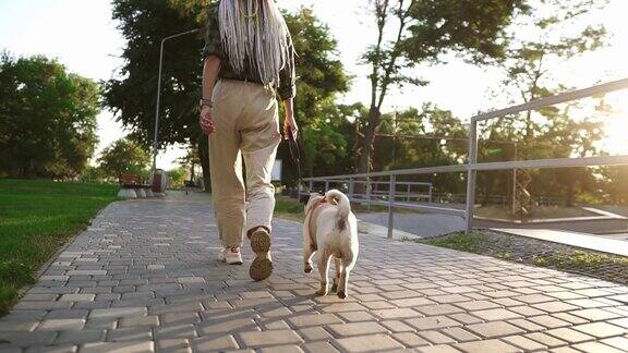 这是罕见的在公园里由女性主人牵着狗链奔跑的哈巴狗