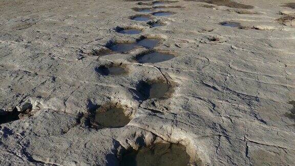 侏罗纪迷惑龙蜥脚类恐龙的足迹位于科罗拉多炼狱河