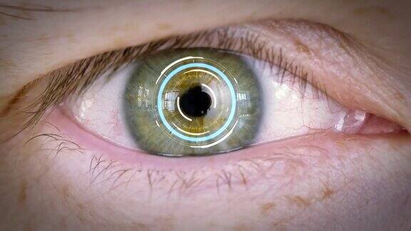 对男性眼球进行虹膜或视网膜扫描