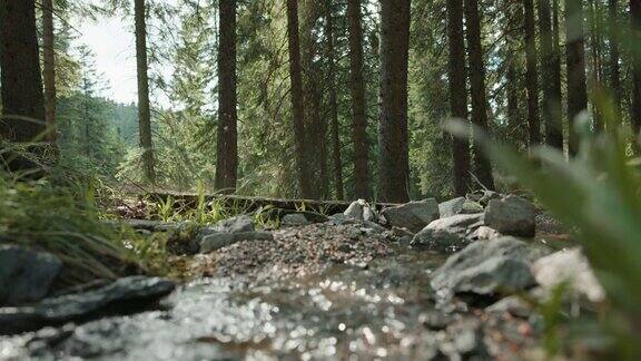 山地摩托车手穿过森林中的一条小溪