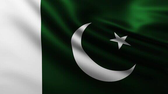 大巴基斯坦国旗的全屏背景在风中飘扬