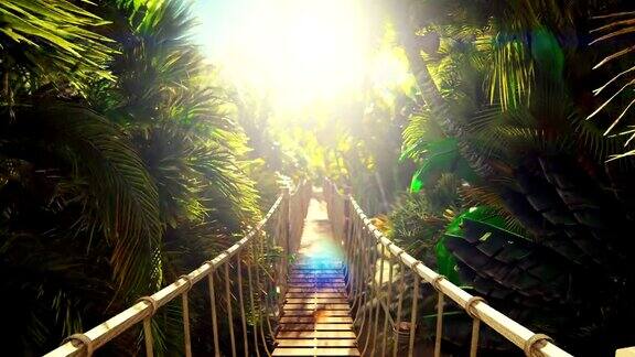 横跨绿色丛林的木桥绿色的丛林树木和棕榈树蓝天和灿烂的阳光旅行