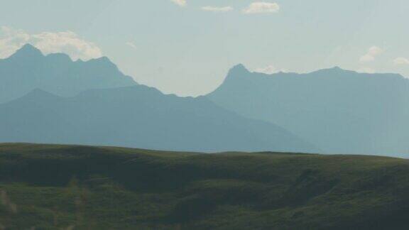 在前景中有高草的山脉