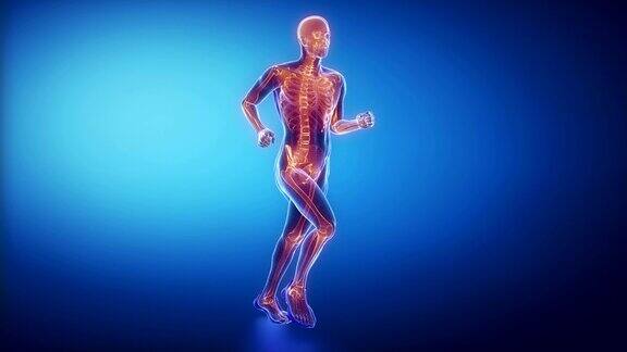 跑步人骨骼扫描
