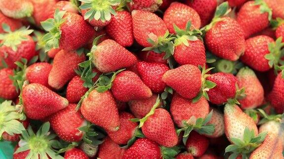 许多新鲜的草莓果实采摘在篮子里