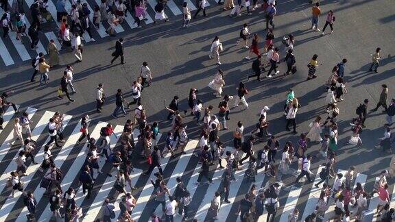 日本东京涩谷十字路口的行人俯视图