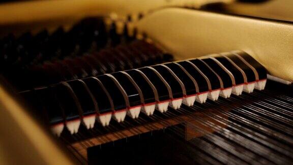 钢琴锤弹奏琴键特写音乐背景