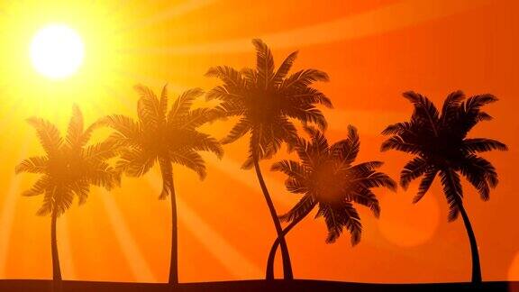 棕榈树与太阳(动画高清背景)