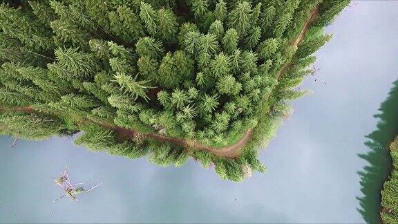 风景如画的湖被树木环绕
