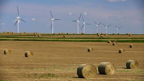 风能涡轮机可再生能源阿尔伯塔省