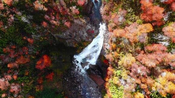 天然松林和瀑布的鸟瞰图Vullinanco瀑布