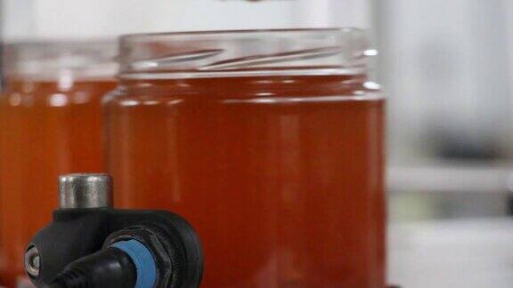 酿造蜂蜜的过程倒入填充蜂蜜到罐子里