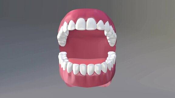 牙齿健康