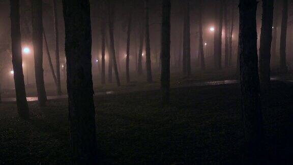 晚上可怕的公园