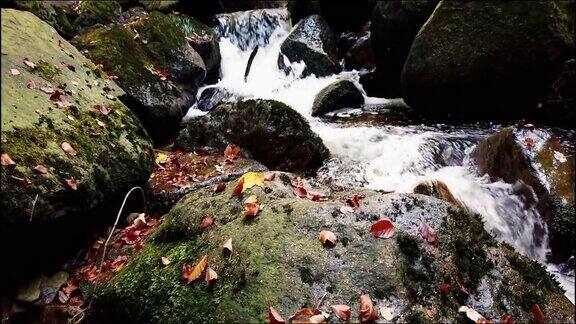 秋天森林里的瀑布