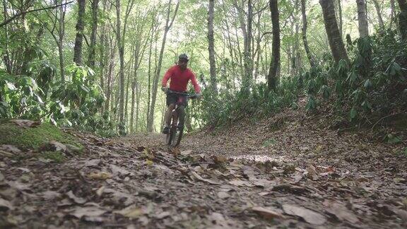 男性山地自行车手在森林里骑车山地自行车手在森林小径上骑车