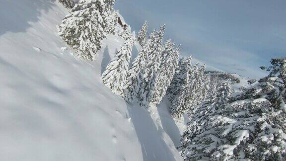FPV无人机:美丽的山林和空地覆盖着新鲜的雪毯