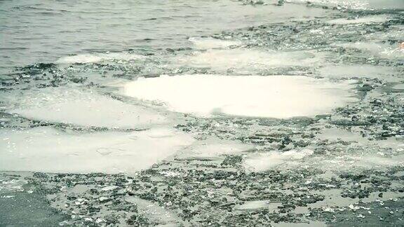 漂浮在水面上的破碎的浮冰