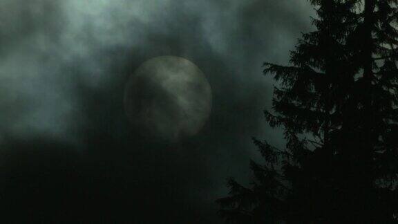 满月诡异的长镜头拍摄森林前景的剪影苏格兰