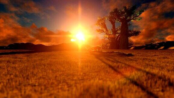 日落时的非洲猴面包树