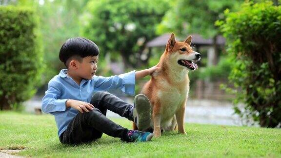 一个亚洲男孩坐下来拥抱一只柴犬春天在公园里