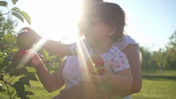 美丽天真的小女孩和妈妈在苹果园玩得很开心