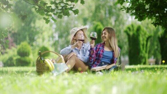 两个美丽的女人在野餐时喝红酒